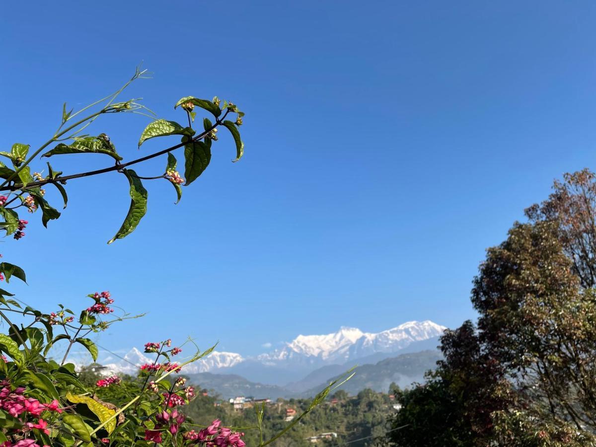 Rupa View Guest House Pokhara Exteriör bild
